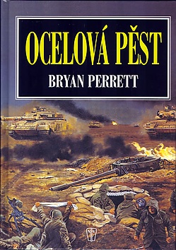 Ocelová pěst
