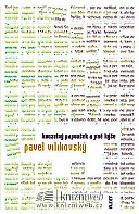 Kouzelný papoušek a jiné kýče (Vilikovský Pavel)