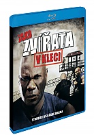 Jako zv��ata v kleci (Blu-Ray)