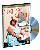 Slunce, seno a pár facek (DVD)