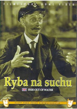 Ryba na suchu