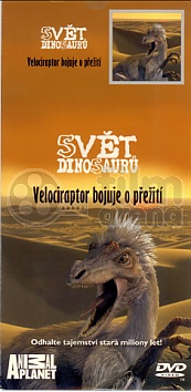 Svt dinosaur - Velociraptor bojuje o peit (paprov obal)