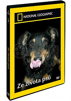 NATIONAL GEOGRAPHIC: Ze života psů