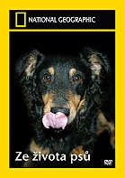 NATIONAL GEOGRAPHIC: Ze života psů