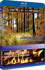 Adorable Autumn / Snugly Fireplace