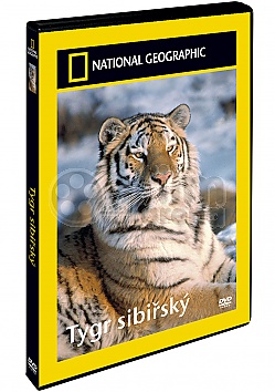 NATIONAL GEOGRAPHIC: Tygr sibisk