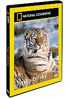 NATIONAL GEOGRAPHIC: Tygr sibiřský (DVD)