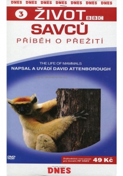ivot savc - Pbh o peit 3