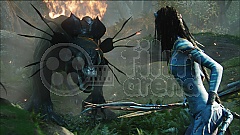 AVATAR 3D (Blu-ray 3D + DVD) (Blu-Ray)