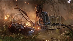 AVATAR 3D (Blu-ray 3D + DVD) (Blu-Ray)