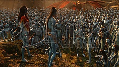 AVATAR 3D (Blu-ray 3D + DVD) (Blu-Ray)