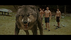Twilight sága: Nový měsíc (Blu-Ray)