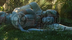 Avatar 3BD (Blu-Ray)