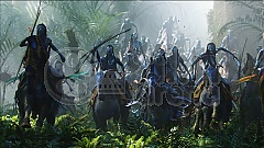 Avatar 3BD (Blu-Ray)