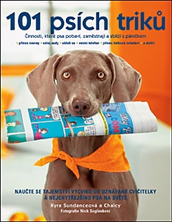 101 psch trik - 2. vydn