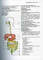 Anatomie 2 - Druh�, upraven� a dopln�n� vyd�n�
