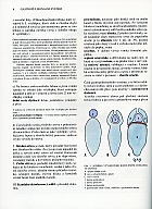 Anatomie 2 - Druh�, upraven� a dopln�n� vyd�n�