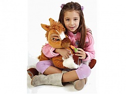 Kop�tko interaktivn� pon�k