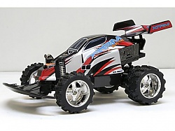 1:14 RC Xtrm buggy