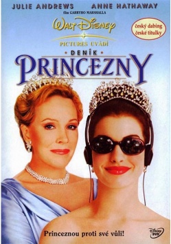 Denk princezny (BAZAR)