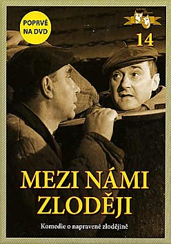 Mezi nmi zlodji