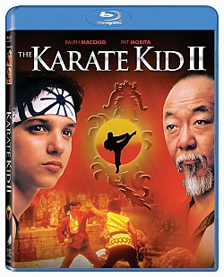 Karate Kid 2 (Akce MULTIBUY)