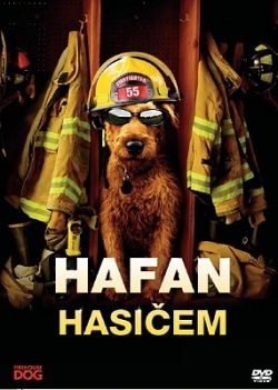 Hafan hasiem