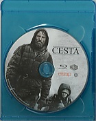Cesta
