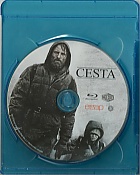 Cesta