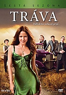 Trva - 6. sezna Kolekce