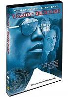 Vrada v blm dom (DVD)
