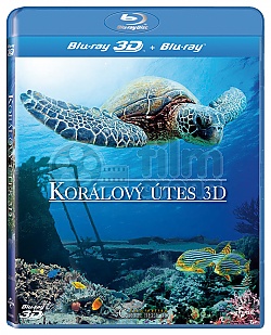 Korlov tes 3D 