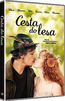 Cesta do lesa