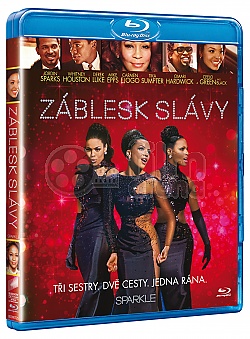 Zblesk slvy