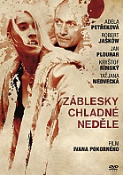 Zblesky chladn nedle