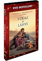 Vzkaz v lhvi (CZ dabing) (Edice DVD bestsellery) (DVD)