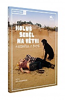 Holub sedl na vtvi a rozmlel o ivot (DVD)