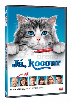 J, KOCOUR