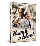 BROUK V HLAVĚ (DVD)