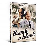 BROUK V HLAV (DVD)