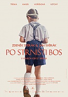 PO STRNITI BOS (DVD)