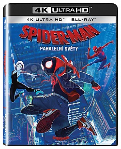 SPIDER-MAN: PARALELN SVTY