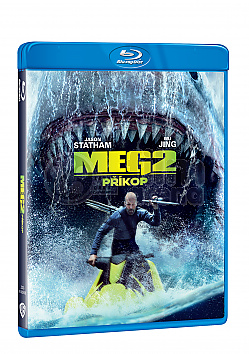 MEG 2: Pkop
