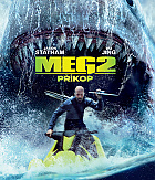 MEG 2: Pkop