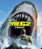 MEG 2: Pkop