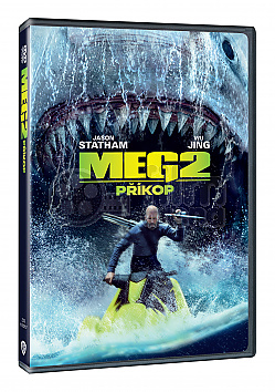 MEG 2: Pkop
