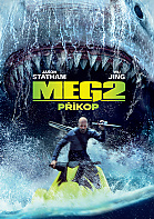 MEG 2: Pkop