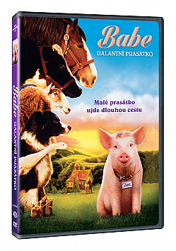 Babe: Galantn prastko DVD