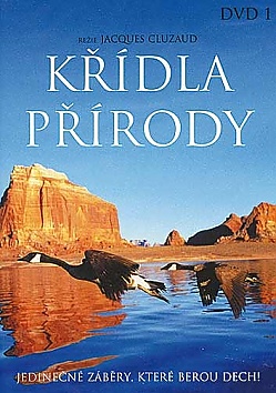 Kidla prody 1