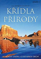 Kidla prody 1 (DVD)